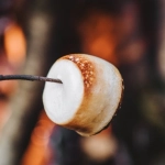 Виртуальные гастрономические приключения региональной кухни