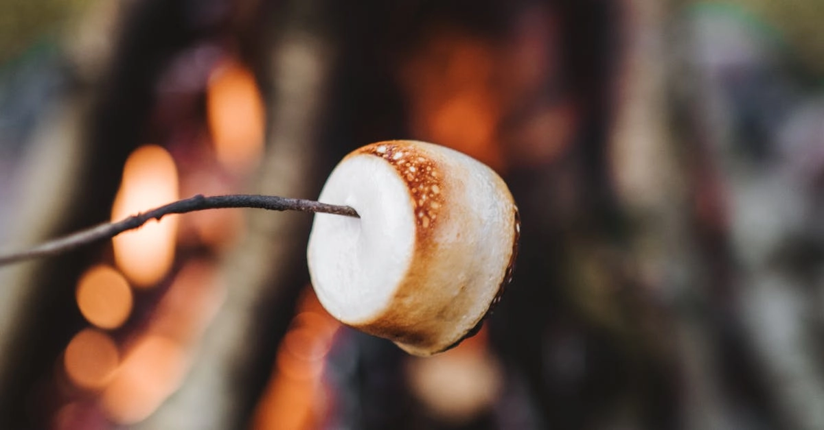 Виртуальные гастрономические приключения региональной кухни