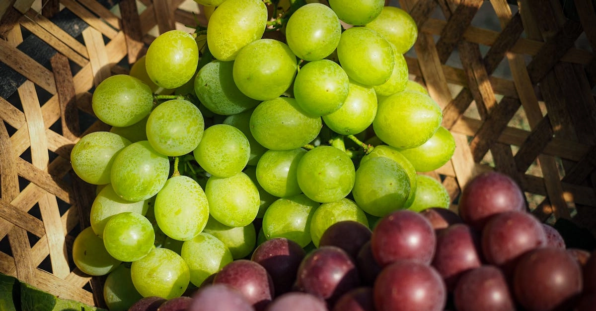 Sweet Bonanza слот с яркими фруктами и региональными сладостями