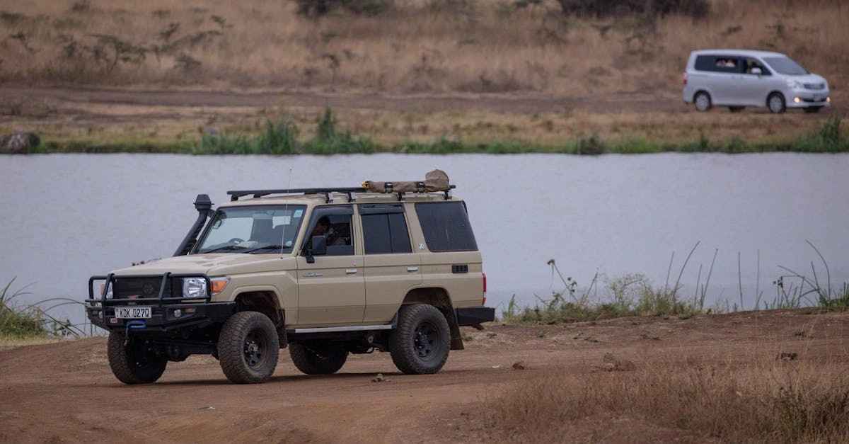 Африканские деликатесы и традиционная кухня континента